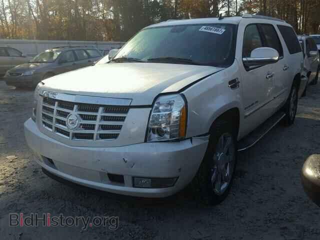 2011 CADILLAC ESCALADE - VIN: 1GYS4HEF9BR192004 - Фото 2
