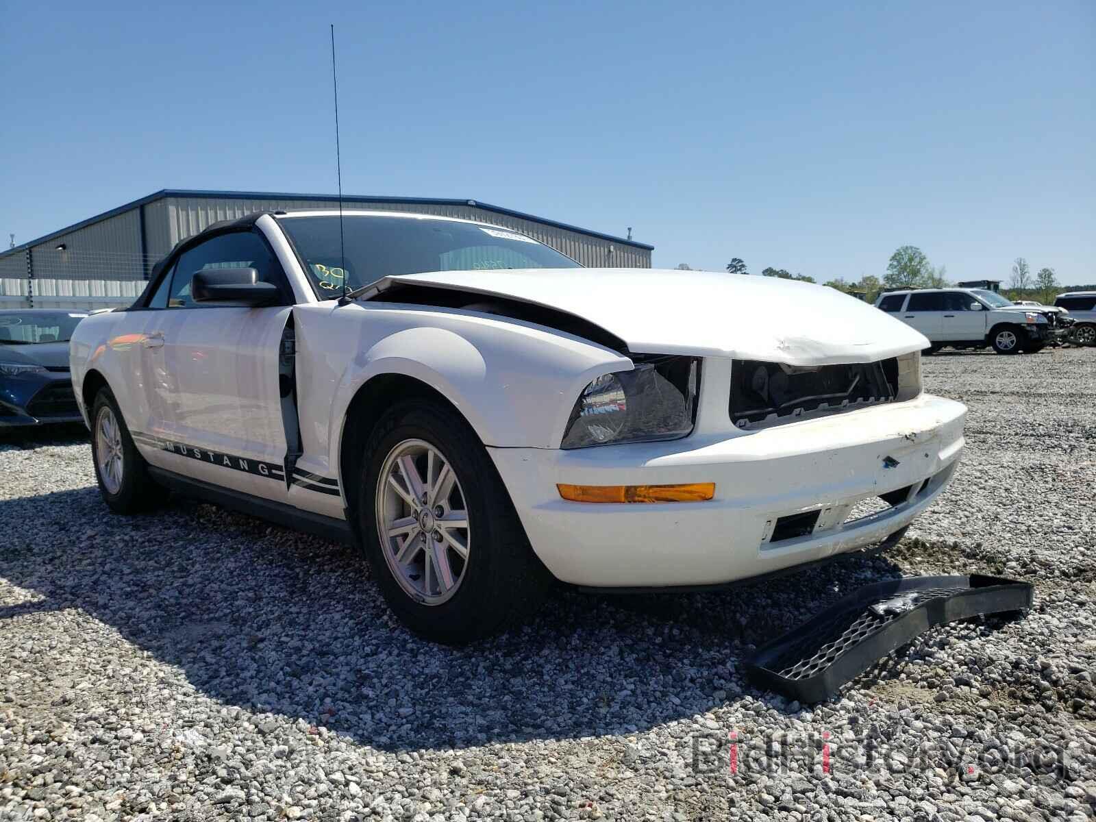 Photo 1ZVFT84N775253381 - FORD MUSTANG 2007
