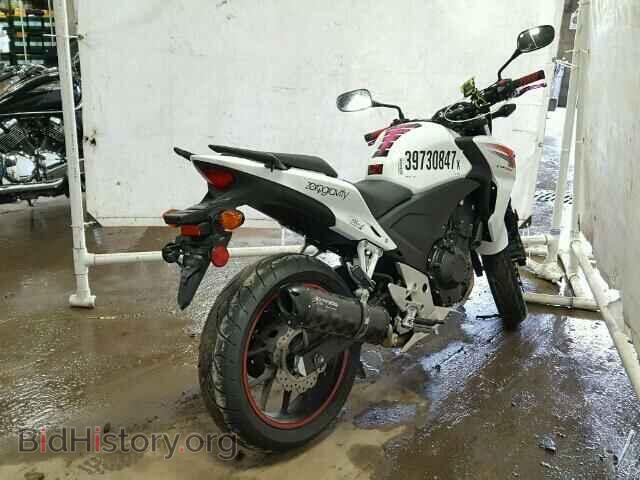 2013 HONDA CB CYCLE - VIN: MLHPC451XD5000446 - Photo 4