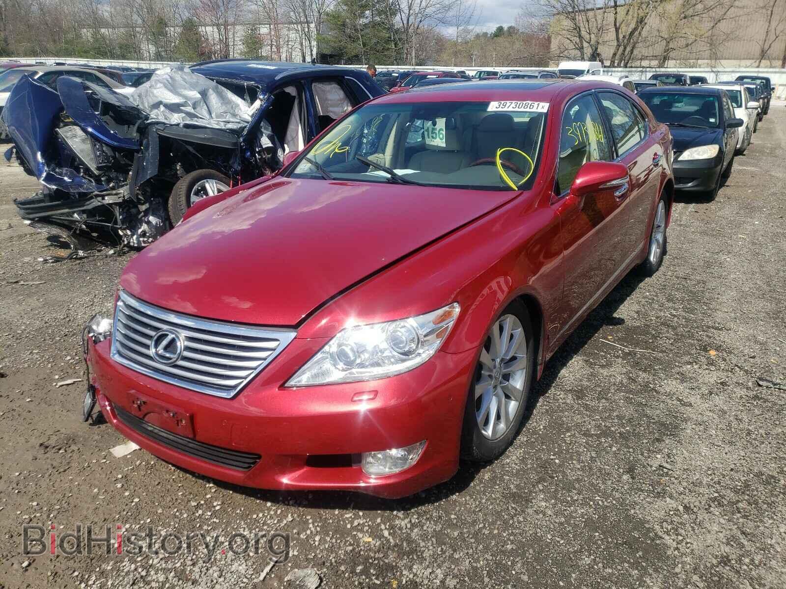 2010 LEXUS LS460 - VIN: JTHCL5EF7A5007528 - Фото 2