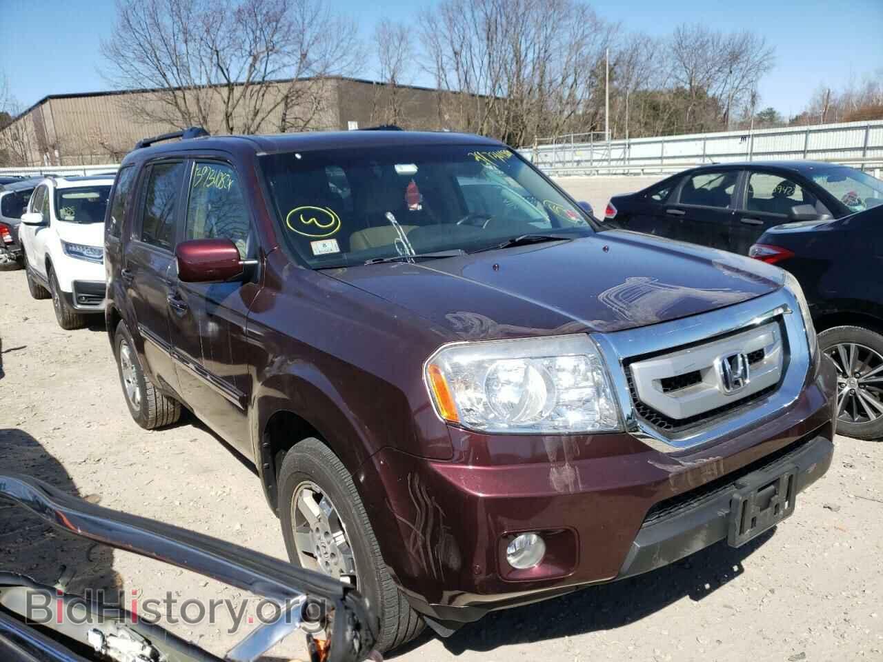 Фотография 5FNYF48909B040380 - HONDA PILOT 2009