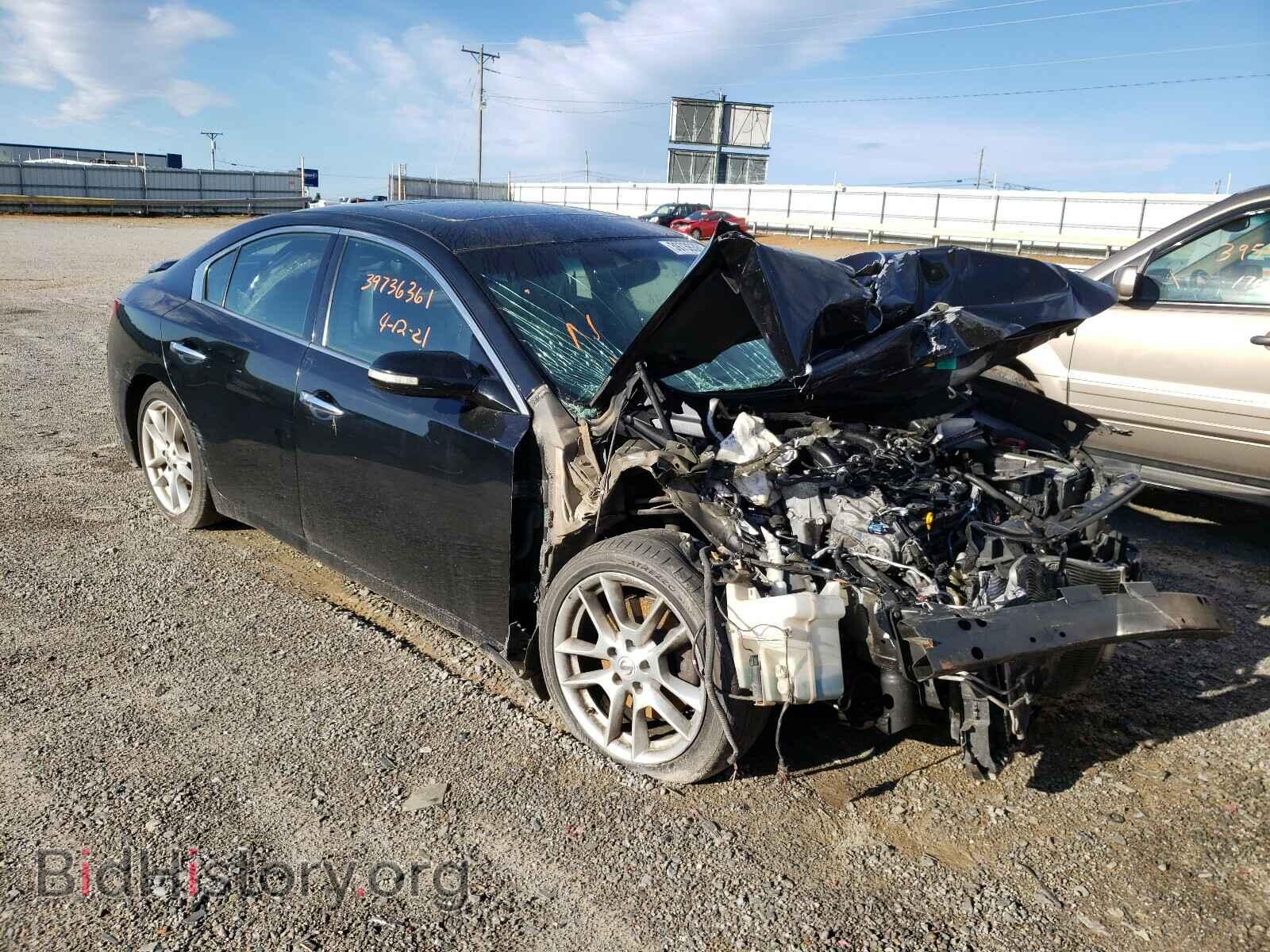 Фотография 1N4AA5APXBC800354 - NISSAN MAXIMA 2011