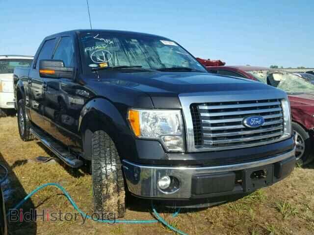 Фотография 1FTEW1CM3BKD09736 - FORD F150 2011