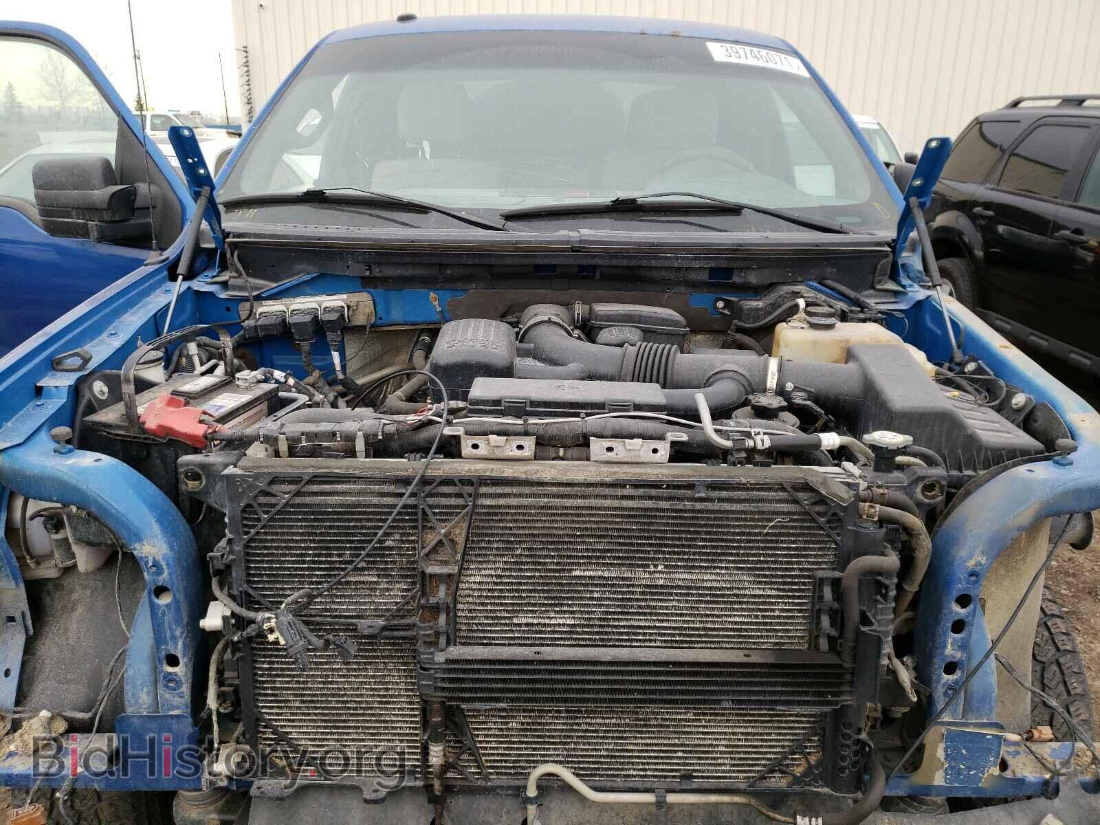 2010 FORD F150 - VIN: 1FTFX1EV1AFB57521 - Фото 7