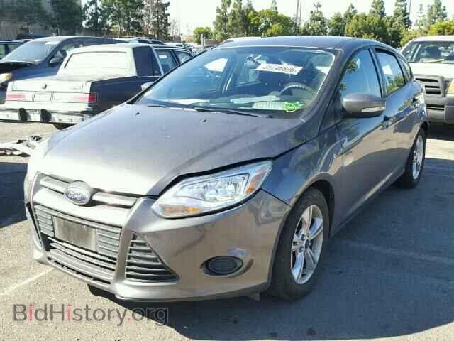 2013 FORD FOCUS - VIN: 1FADP3K24DL204775 - Фото 2