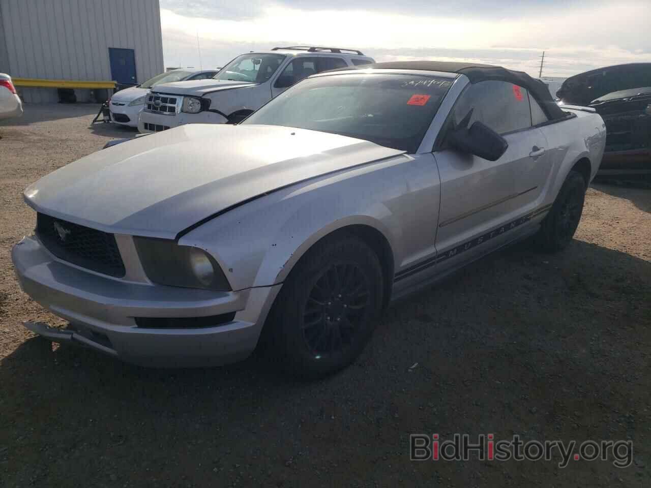 Photo 1ZVHT84N485207646 - FORD MUSTANG 2008