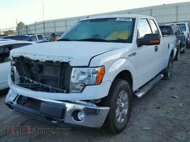 2011 FORD F150 - VIN: 1FTFX1EF0BFD42542 - Фото 2