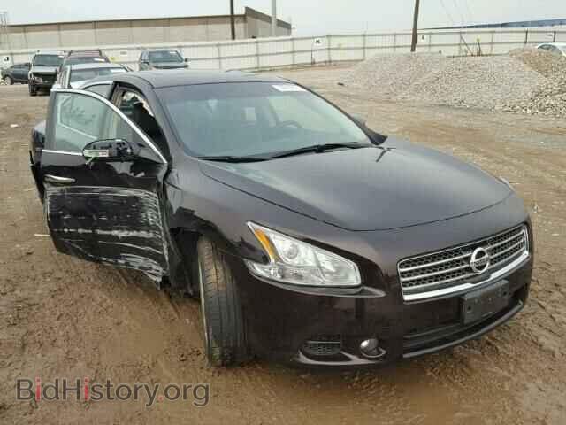 Фотография 1N4AA5APXBC802055 - NISSAN MAXIMA 2011