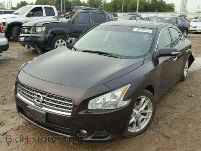 2011 NISSAN MAXIMA - VIN: 1N4AA5APXBC802055 - Фото 2
