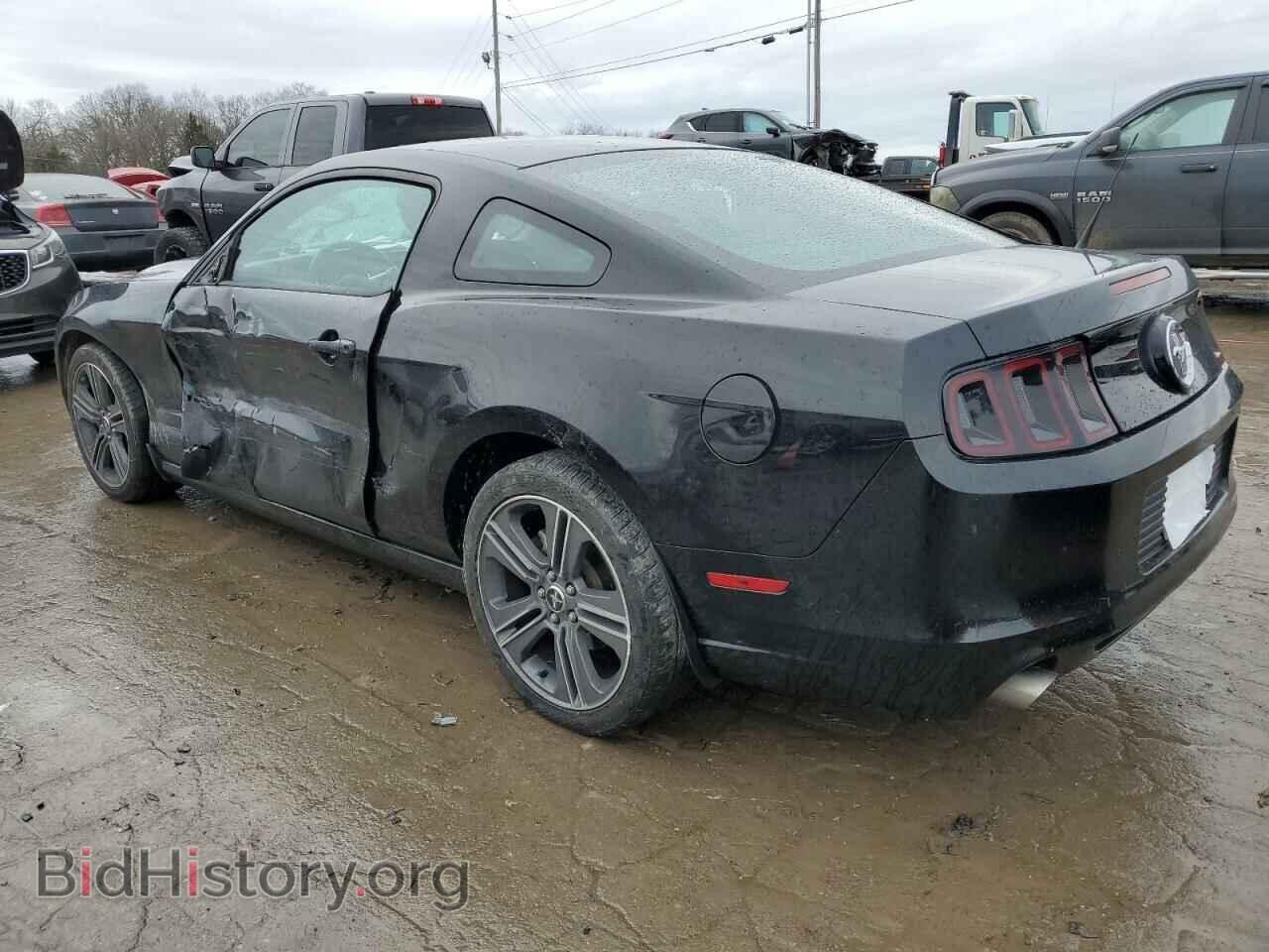 2013 FORD ALL Models - VIN: 1ZVBP8AM0D5235489 - Фото 2