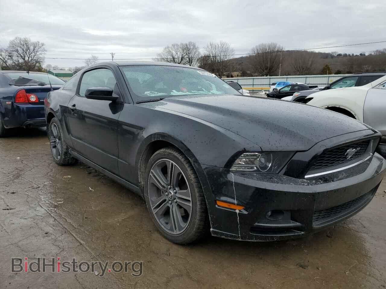 2013 FORD ALL Models - VIN: 1ZVBP8AM0D5235489 - Фото 4