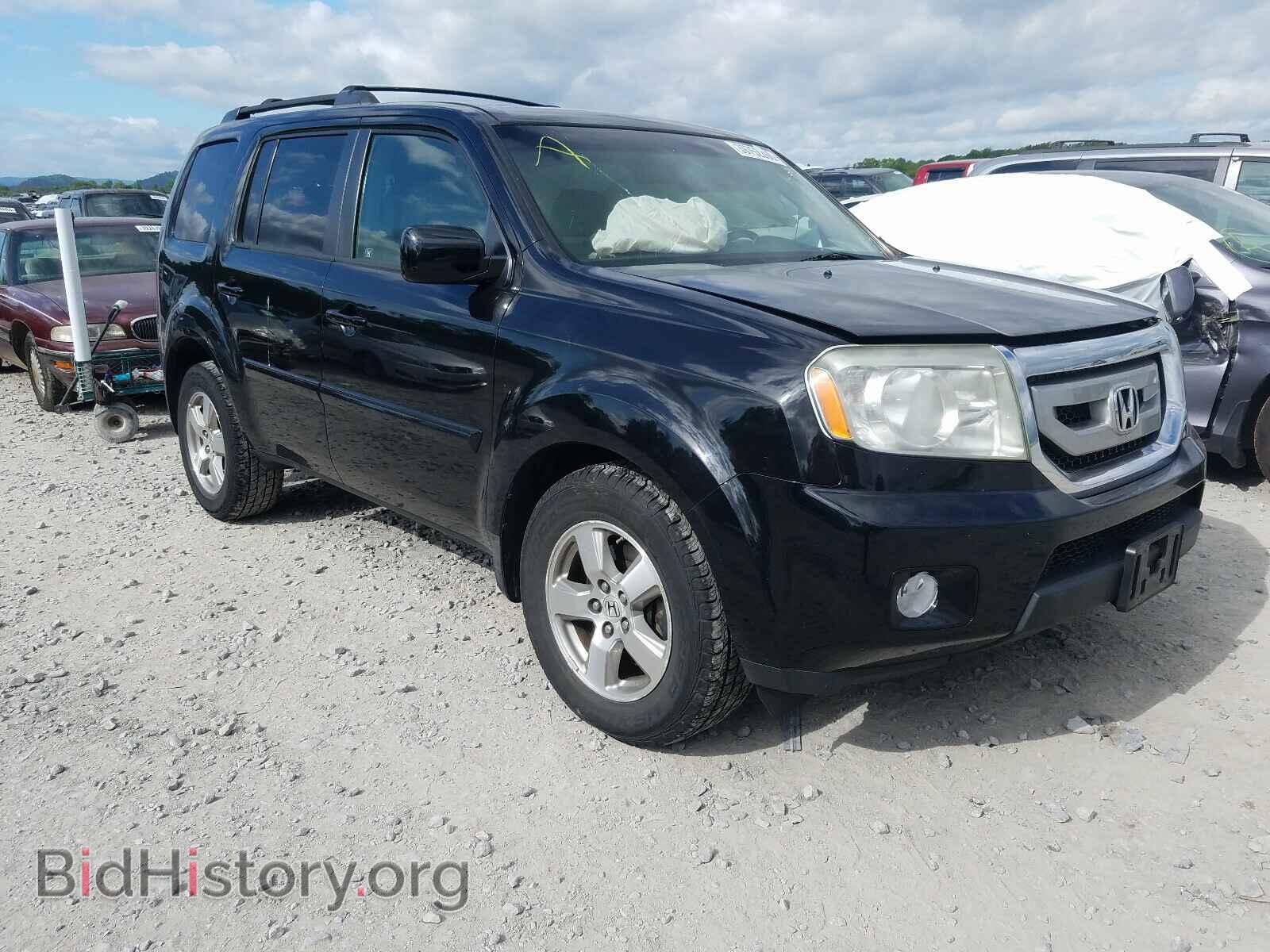 Фотография 5FNYF38699B011430 - HONDA PILOT 2009