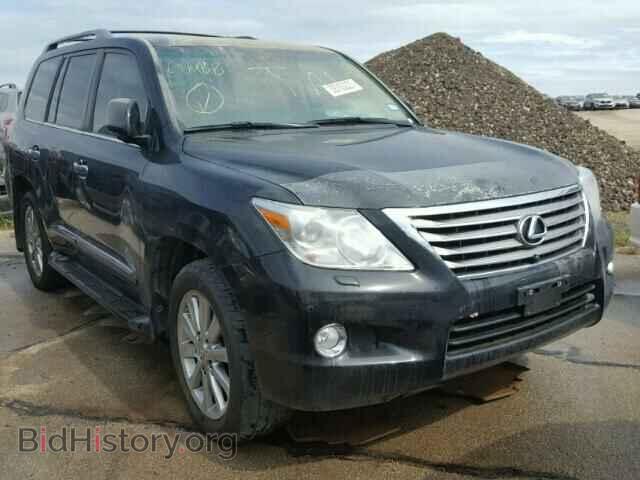 Фотография JTJHY7AX2B4077879 - LEXUS LX 570 2011