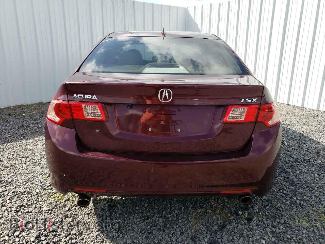 2011 ACURA TSX - VIN: JH4CU2F65BC010161 - Фото 6