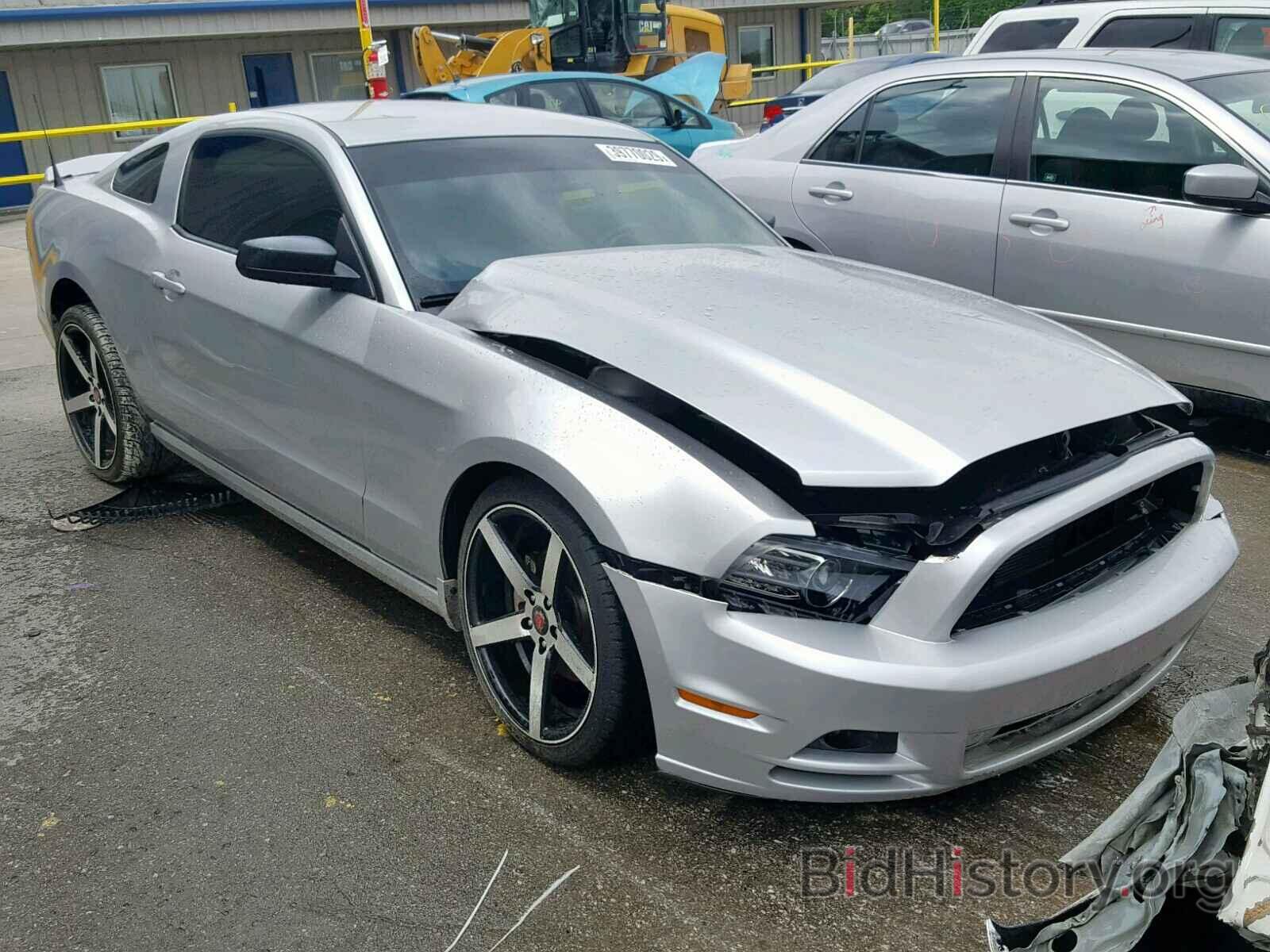 Photo 1ZVBP8AM0E5269336 - FORD MUSTANG 2014