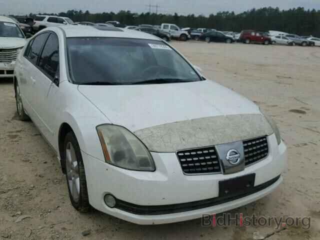 Photo 1N4BA41E16C814677 - NISSAN MAXIMA 2006