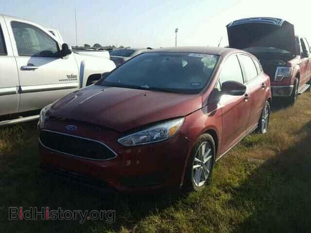 2016 FORD FOCUS - VIN: 1FADP3K24GL336486 - Фото 2
