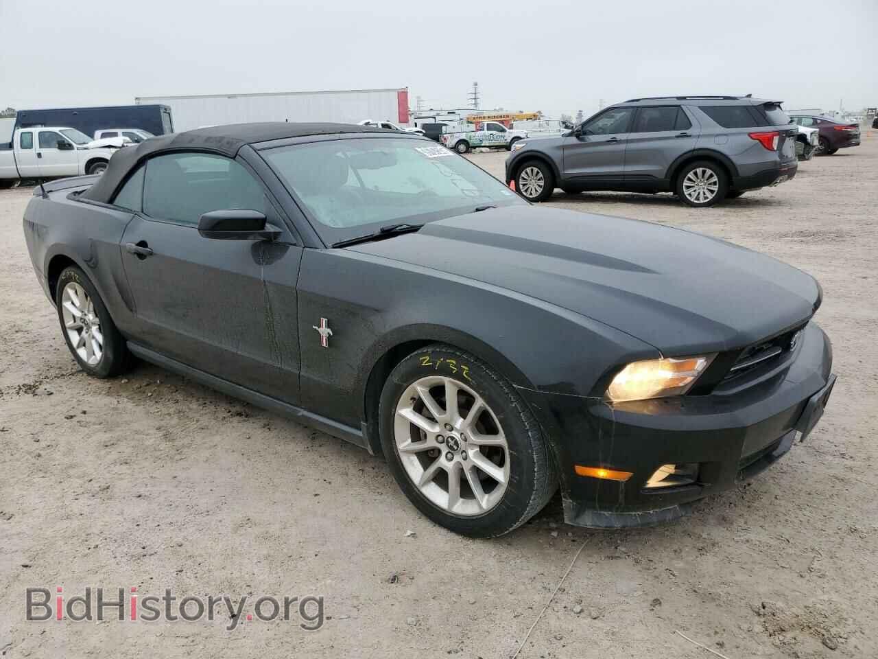 2011 FORD MUSTANG - VIN: 1ZVBP8EM6B5110682 - Фото 4