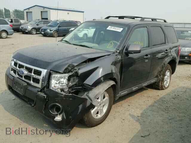 2011 FORD ESCAPE - VIN: 1FMCU0DG5BKC29558 - Фото 2
