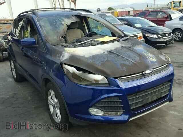 Фотография 1FMCU0GX1DUA17050 - FORD ESCAPE 2013