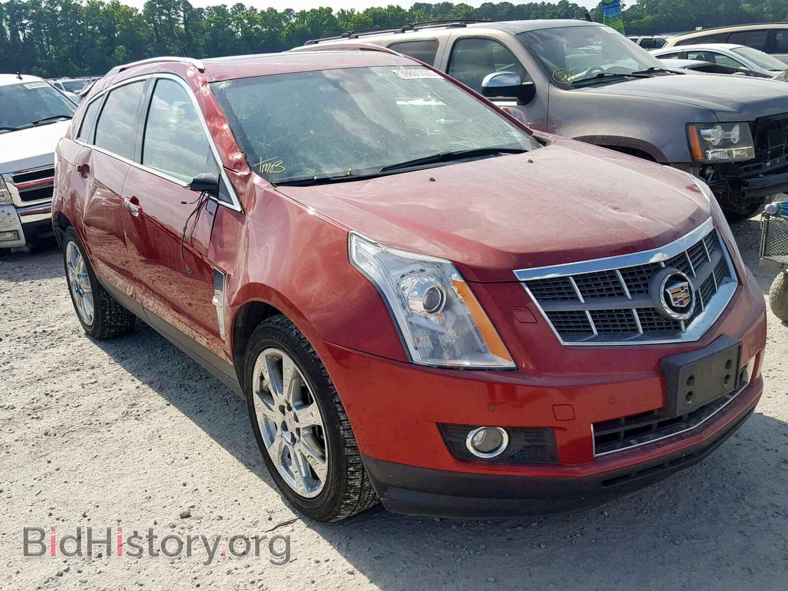 Фотография 3GYFNBE33CS556529 - CADILLAC SRX PERFOR 2012