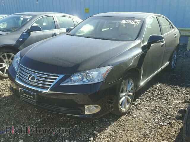 2010 LEXUS ES350 - VIN: JTHBK1EG7A2409759 - Фото 2