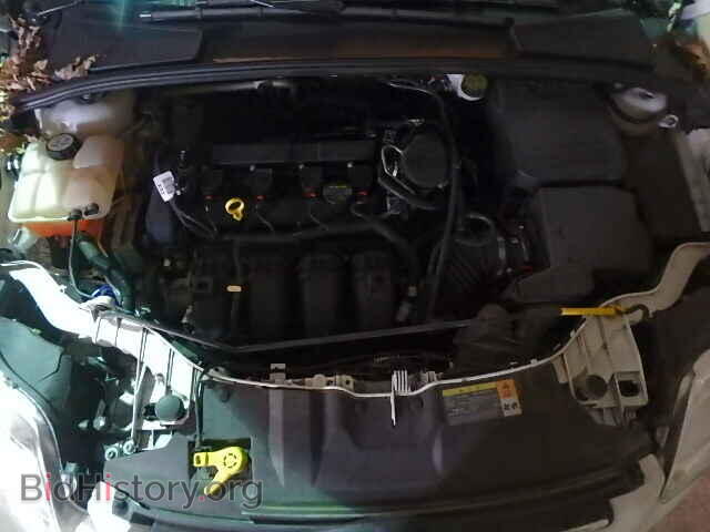 2013 FORD FOCUS - VIN: 1FADP3K22DL129607 - Фото 7