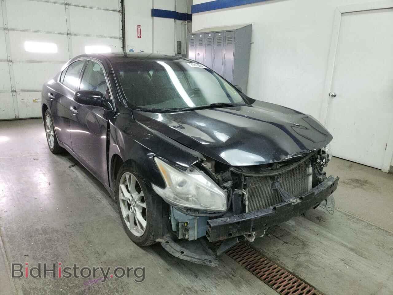 Фотография 1N4AA5AP7DC835954 - NISSAN MAXIMA 2013
