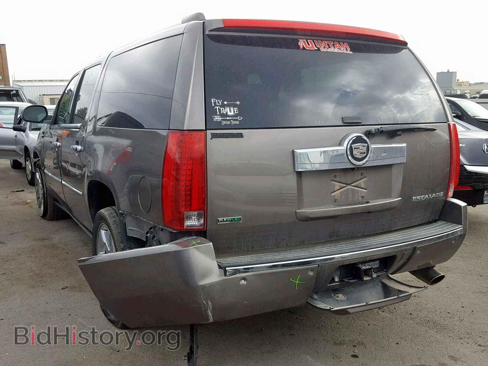 2011 CADILLAC ESCALADE E - VIN: 1GYS4JEF8BR251969 - Фото 3