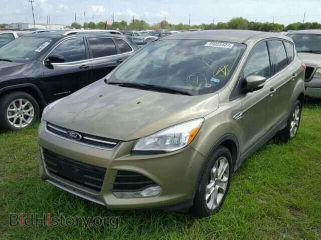 2013 FORD ESCAPE - VIN: 1FMCU0H93DUA87147 - Фото 2