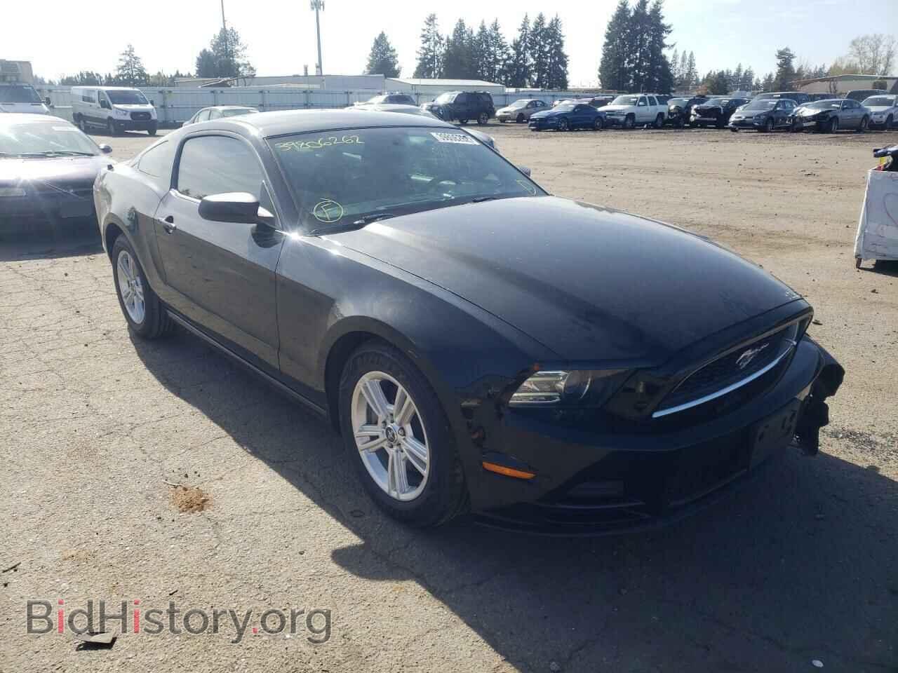 Фотография 1ZVBP8AM2E5206786 - FORD MUSTANG 2014