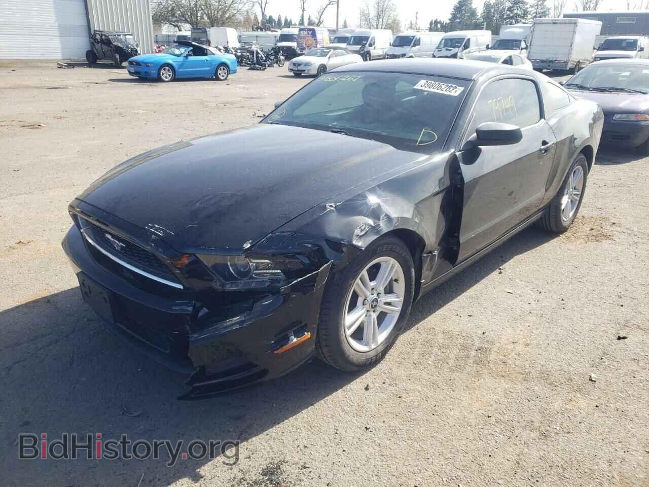 2014 FORD MUSTANG - VIN: 1ZVBP8AM2E5206786 - Фото 2