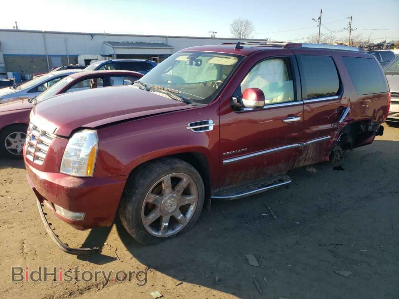 Photo 1GYUKBEF6AR272841 - CADILLAC ESCALADE 2010