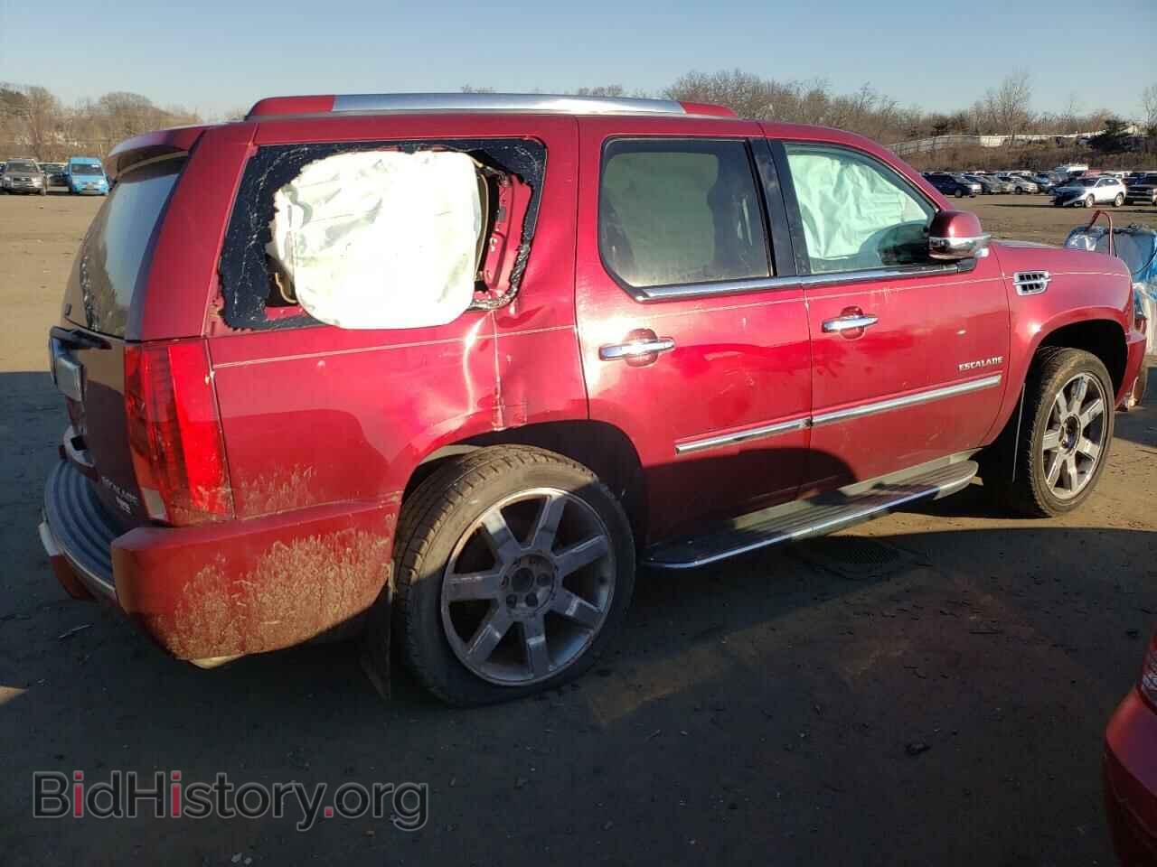 2010 CADILLAC ESCALADE - VIN: 1GYUKBEF6AR272841 - Фото 3