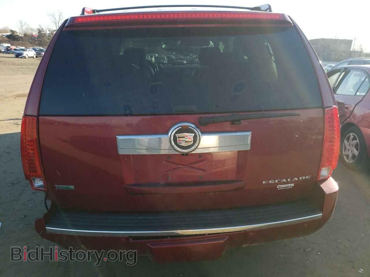 2010 CADILLAC ESCALADE - VIN: 1GYUKBEF6AR272841 - Фото 6