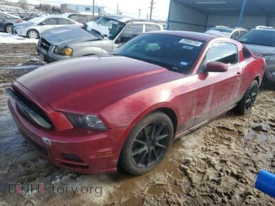2014 Ford ALL MODELS, red — VIN 1ZVBP8AM9E5259629, Copart