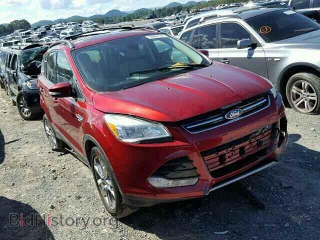 Фотография 1FMCU0HX7DUA70138 - FORD ESCAPE 2013
