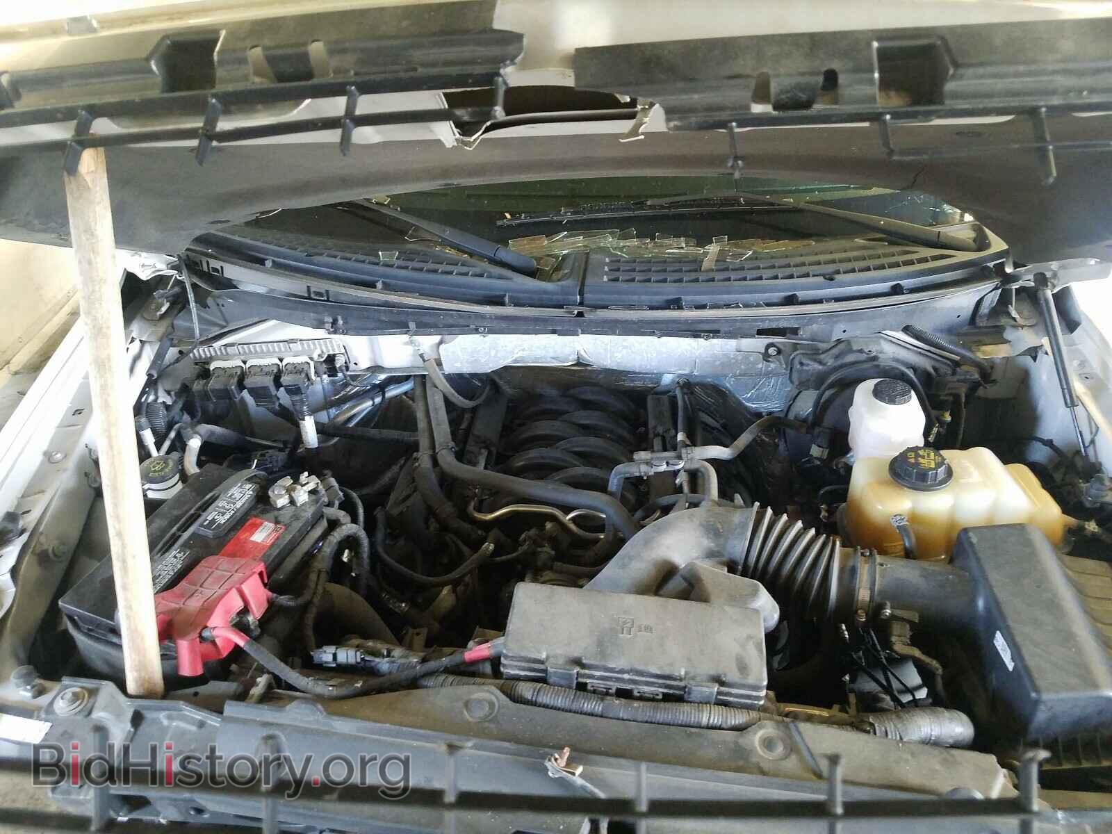 2013 FORD F150 - VIN: 1FTFX1EF3DFB40331 - Фото 7