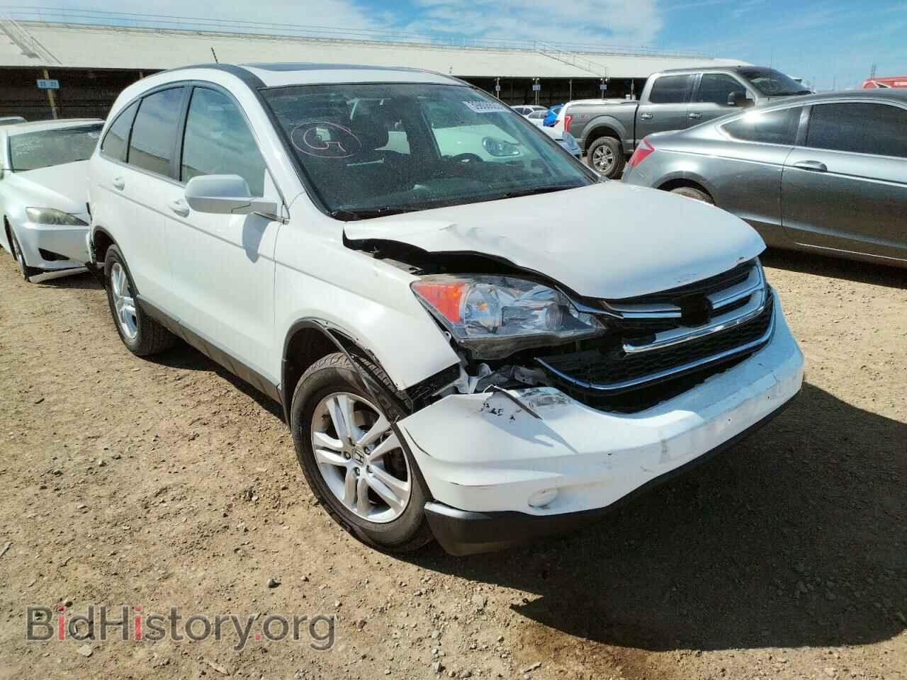 Photo 5J6RE4H77BL053369 - HONDA CRV 2011