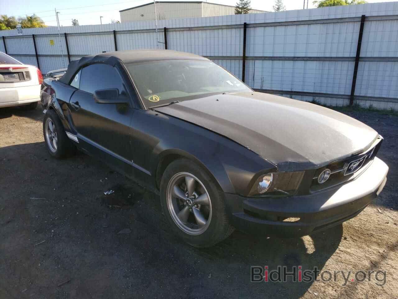 Photo 1ZVHT84N965105921 - FORD MUSTANG 2006