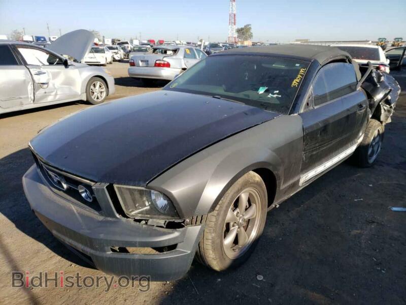 2006 Ford MUSTANG (VIN 1ZVHT84N965105921) — photo 2 of 10