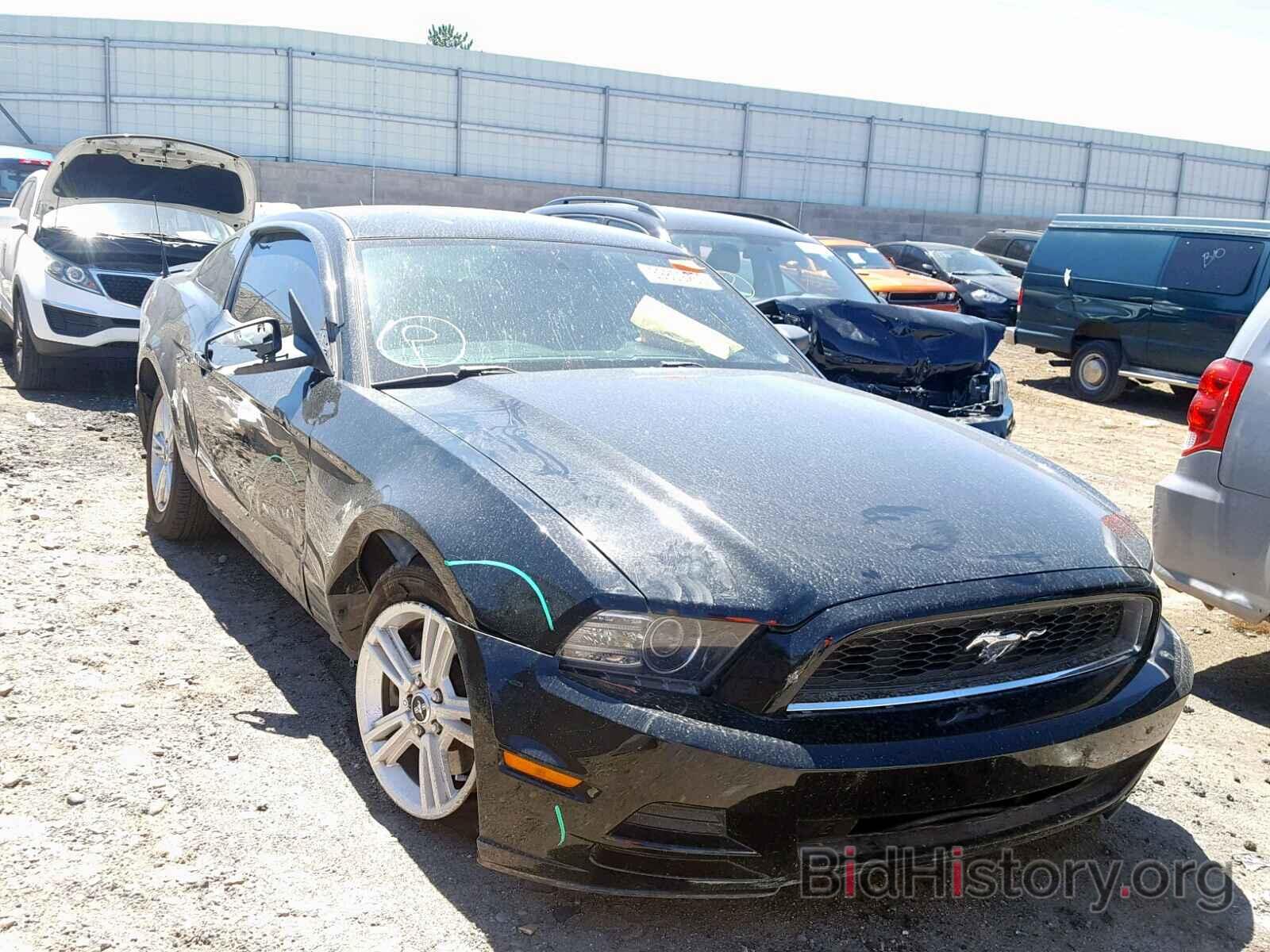 Photo 1ZVBP8AM5D5279441 - FORD MUSTANG 2013