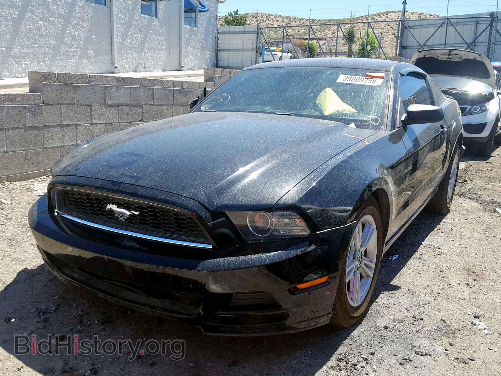 2013 FORD MUSTANG - VIN: 1ZVBP8AM5D5279441 - Фото 2