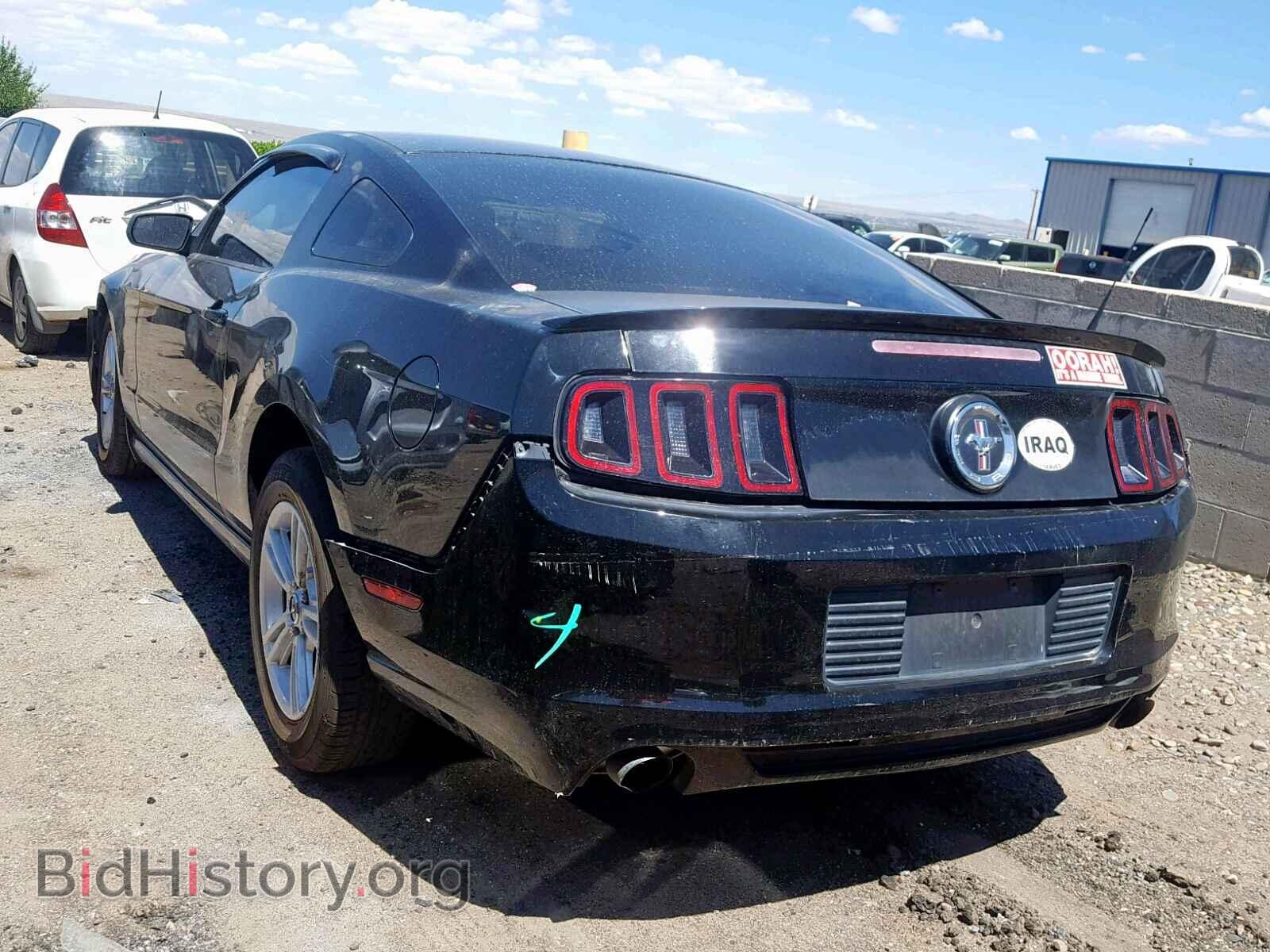 2013 FORD MUSTANG - VIN: 1ZVBP8AM5D5279441 - Фото 3