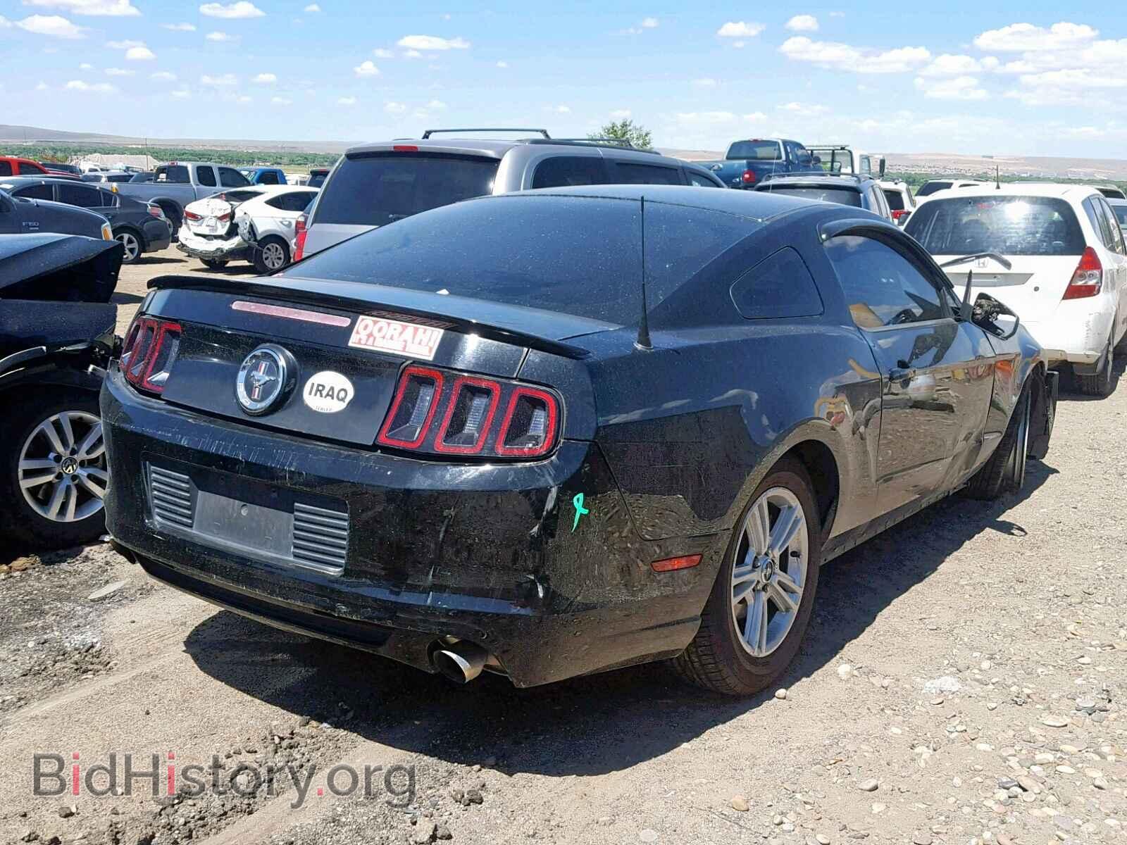 2013 FORD MUSTANG - VIN: 1ZVBP8AM5D5279441 - Фото 4