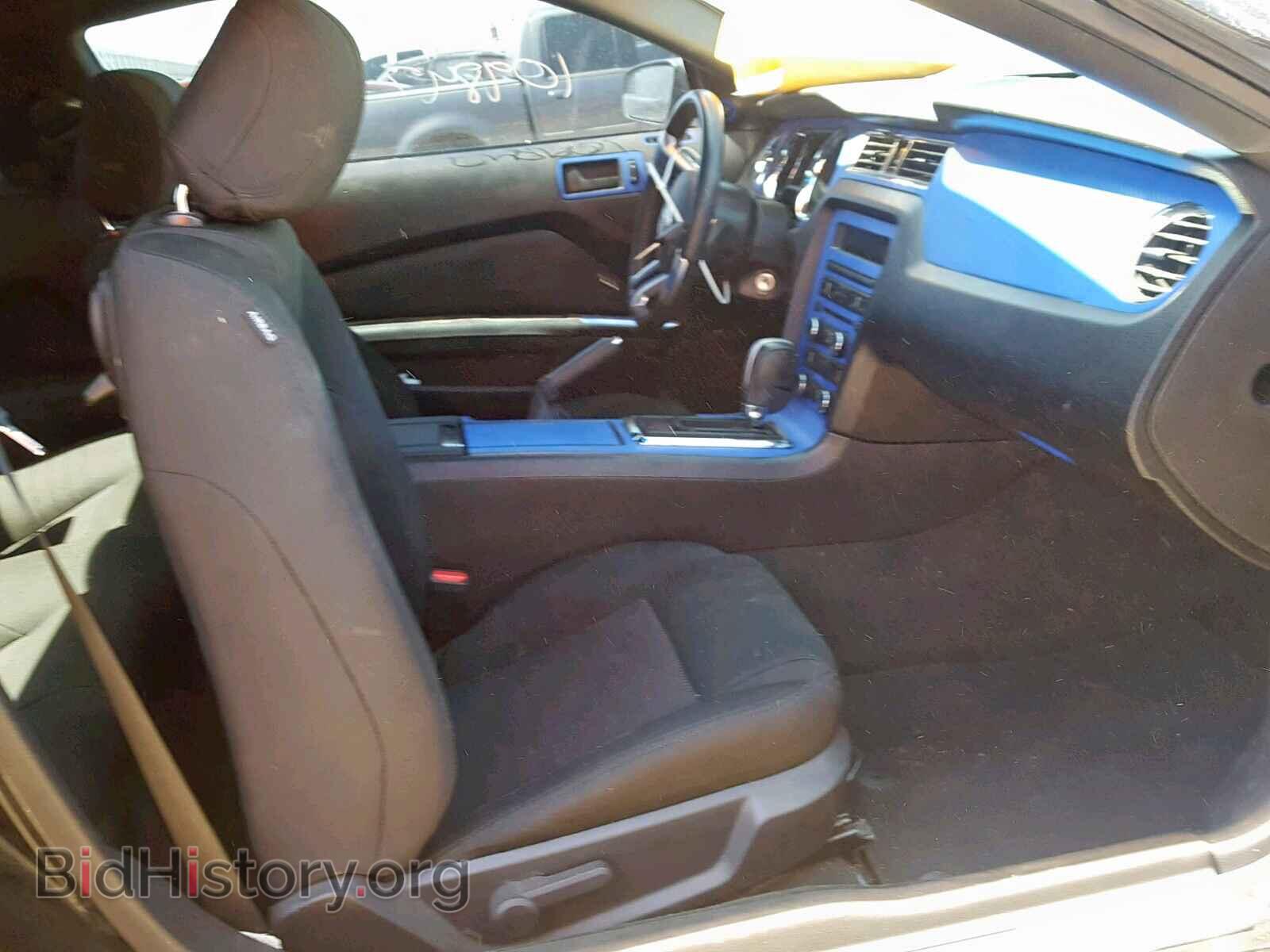 2013 FORD MUSTANG - VIN: 1ZVBP8AM5D5279441 - Фото 5