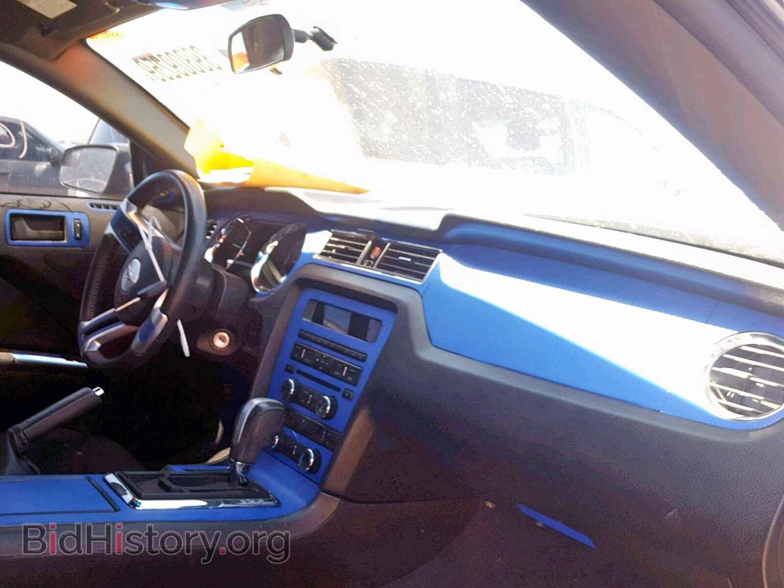 2013 FORD MUSTANG - VIN: 1ZVBP8AM5D5279441 - Фото 9