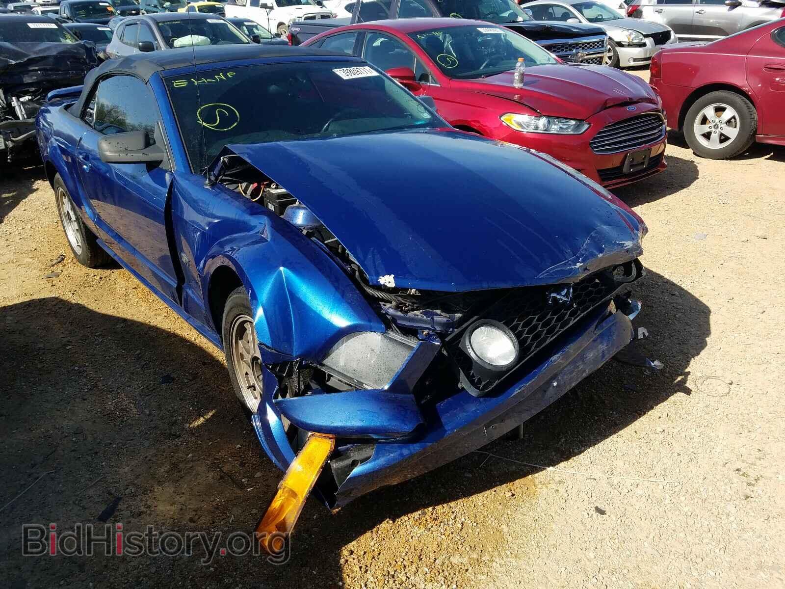 Photo 1ZVFT85H665231198 - FORD MUSTANG 2006