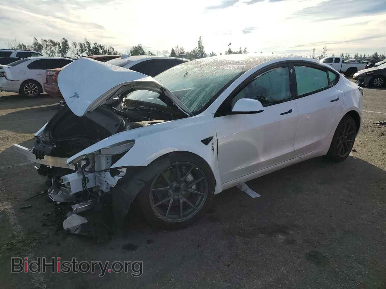 Photo 5YJ3E1EA1PF400831 - TESLA MODEL 3 2023