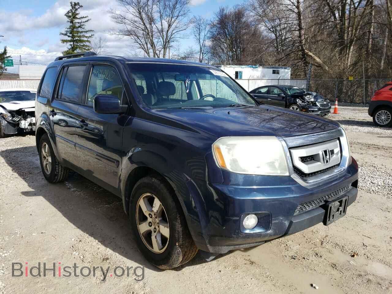 Фотография 5FNYF48559B033227 - HONDA PILOT 2009